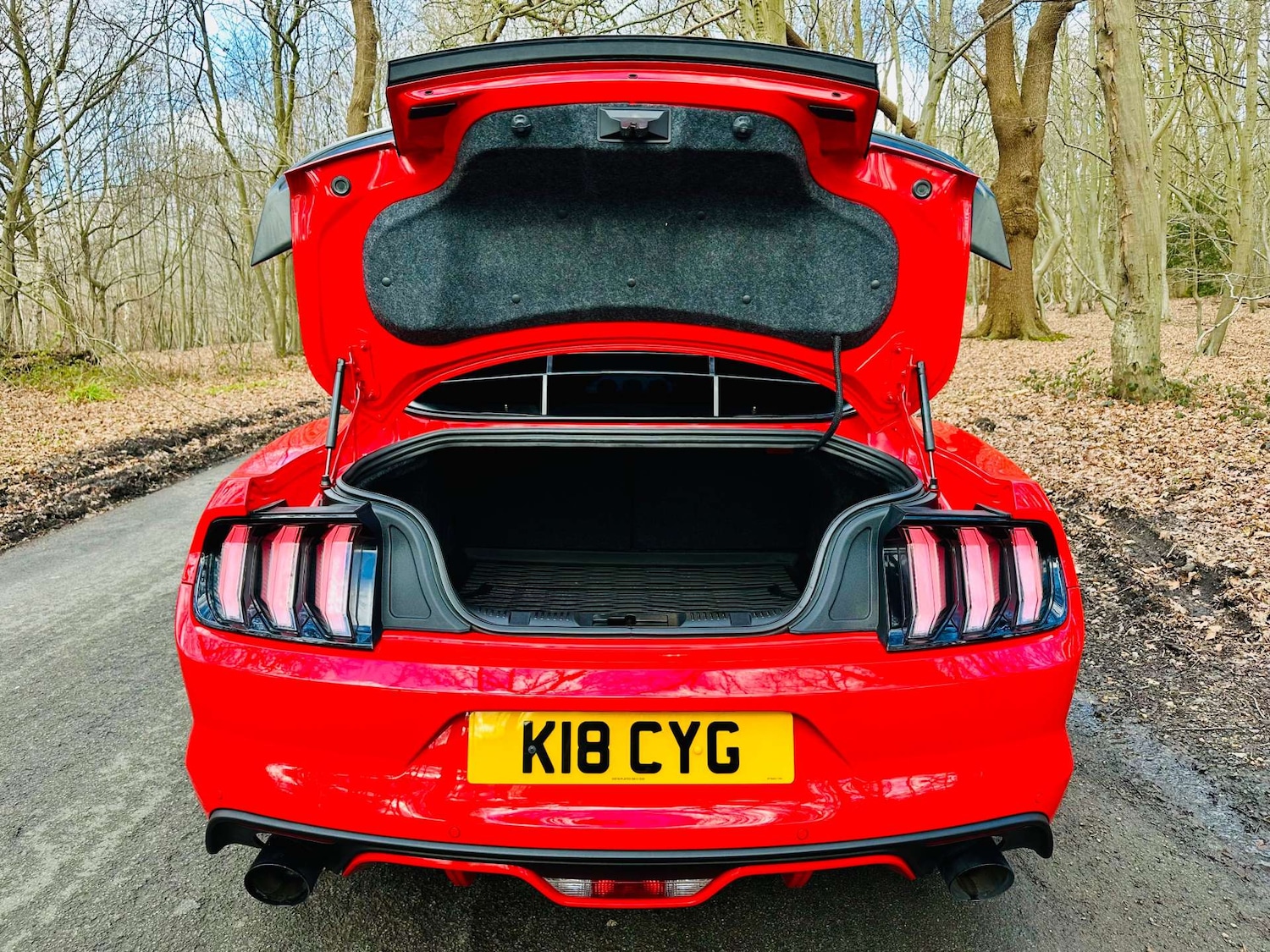 Used Ford Mustang 2018 for sale - 77261398: Photo 44