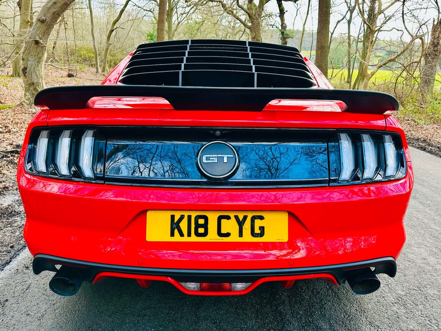 Used Ford Mustang 2018 for sale - 77261398: Photo 47