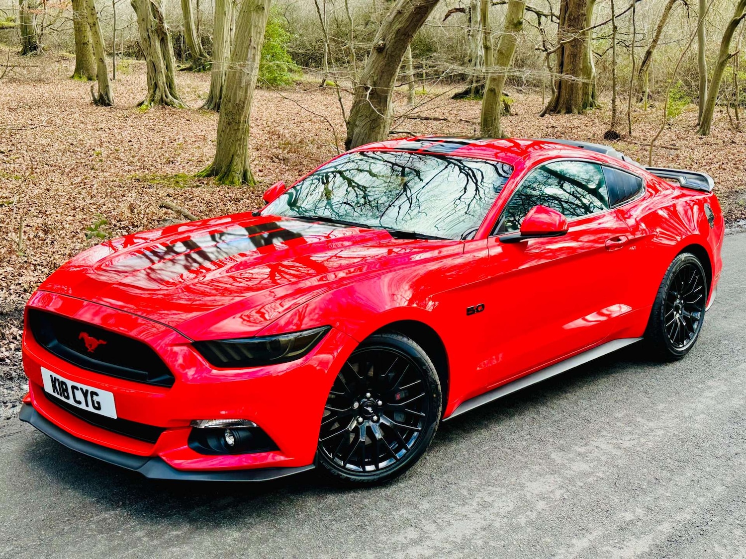 Used Ford Mustang 2018 for sale - 77261398: Photo 5