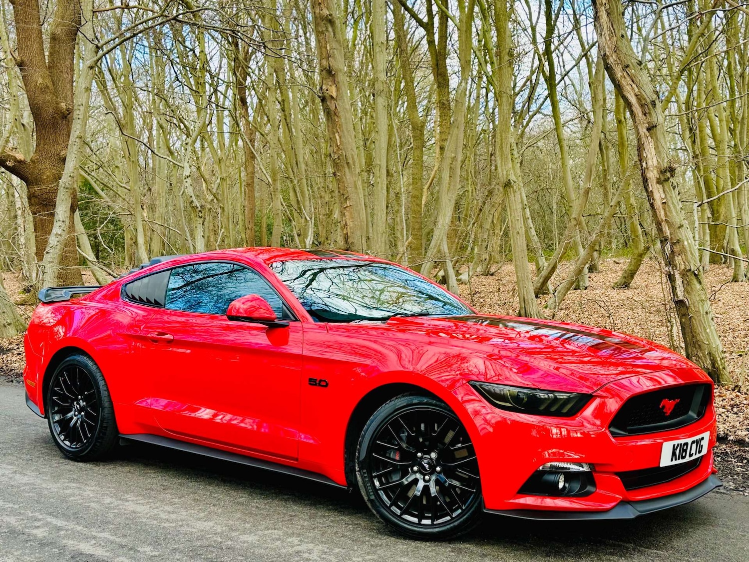 Used Ford Mustang 2018 for sale - 77261398: Photo 59