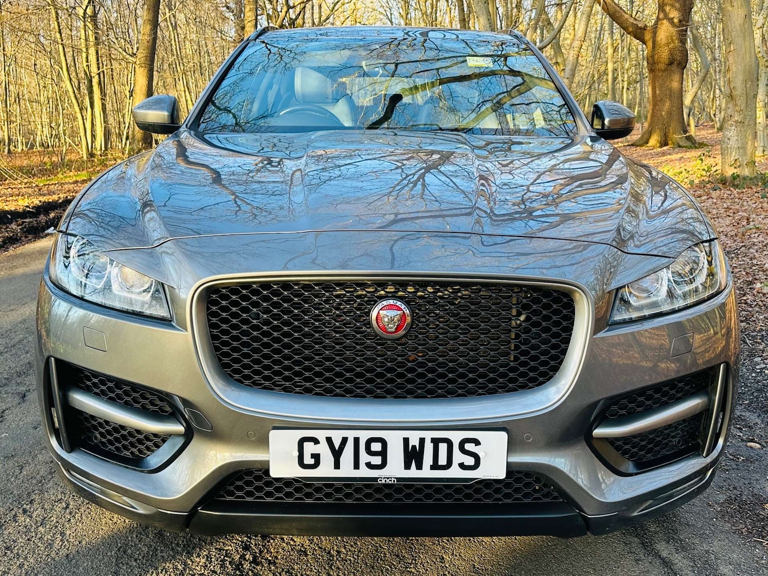 Used Jaguar F-Pace 2019 for sale - 77022647: Photo 2