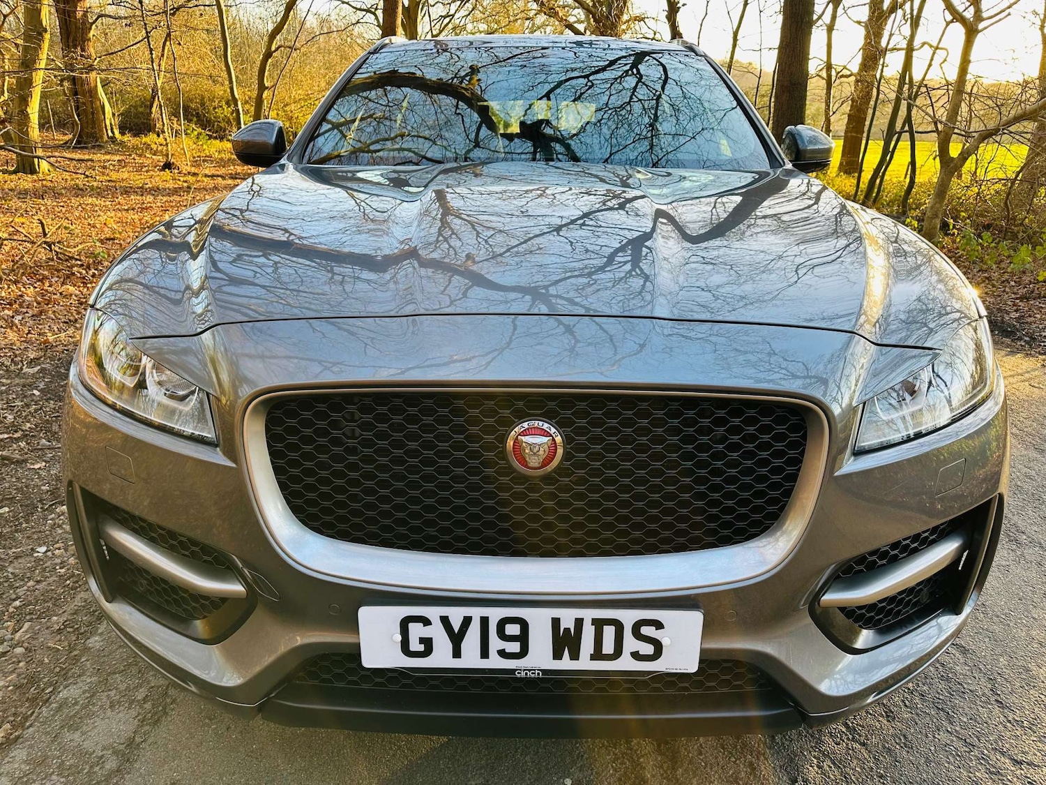 Used Jaguar F-Pace 2019 for sale - 77022647: Photo 25