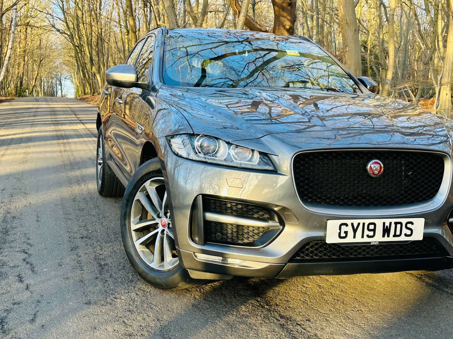 Used Jaguar F-Pace 2019 for sale - 77022647: Photo 3