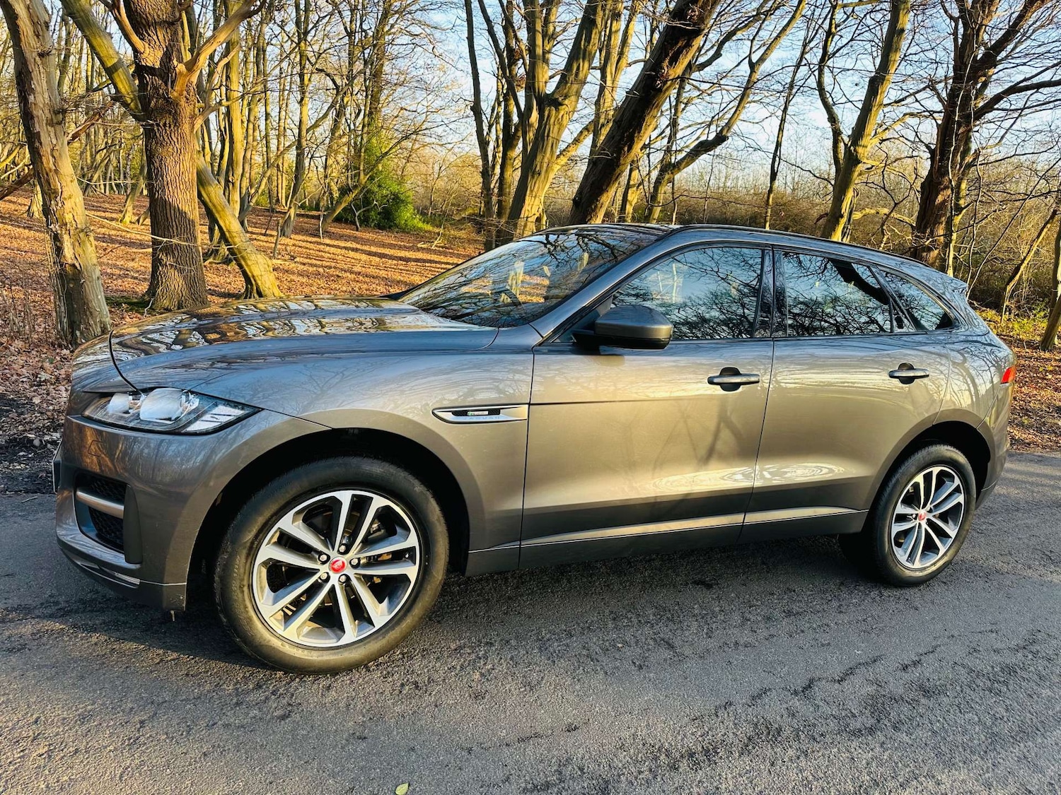Used Jaguar F-Pace 2019 for sale - 77022647: Photo 30