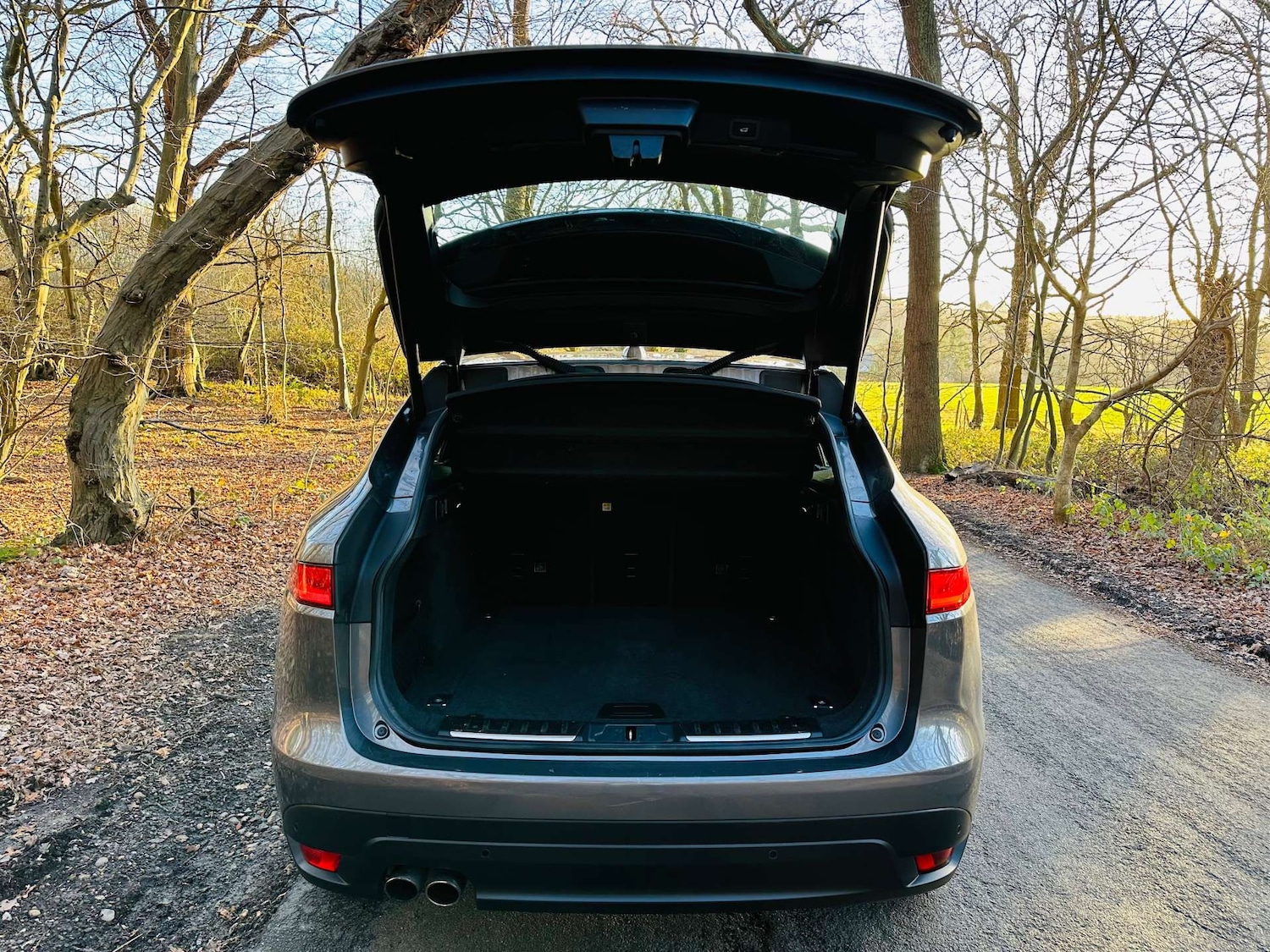 Used Jaguar F-Pace 2019 for sale - 77022647: Photo 35