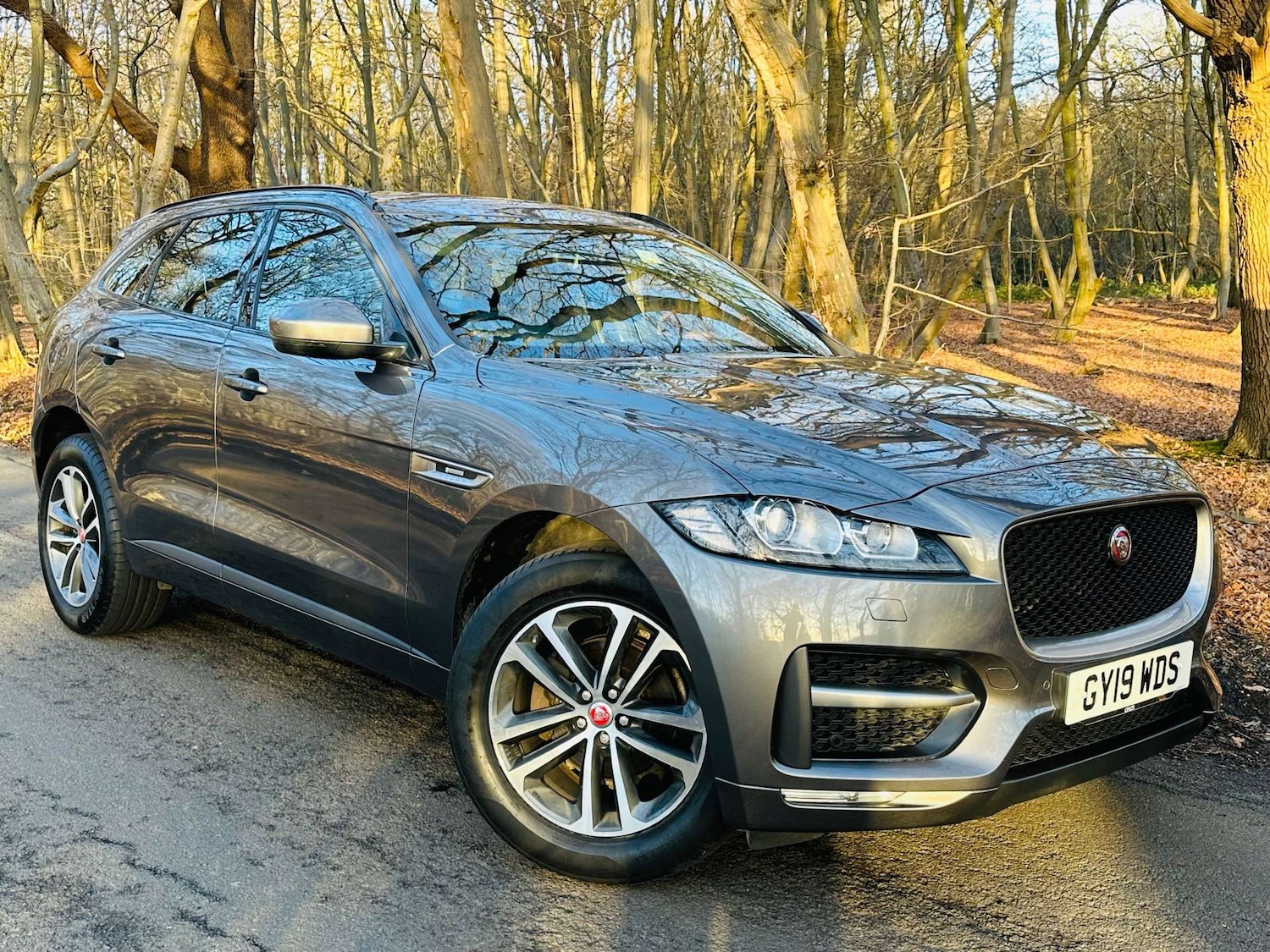 Used Jaguar F-Pace 2019 for sale - 77022647: Photo 4