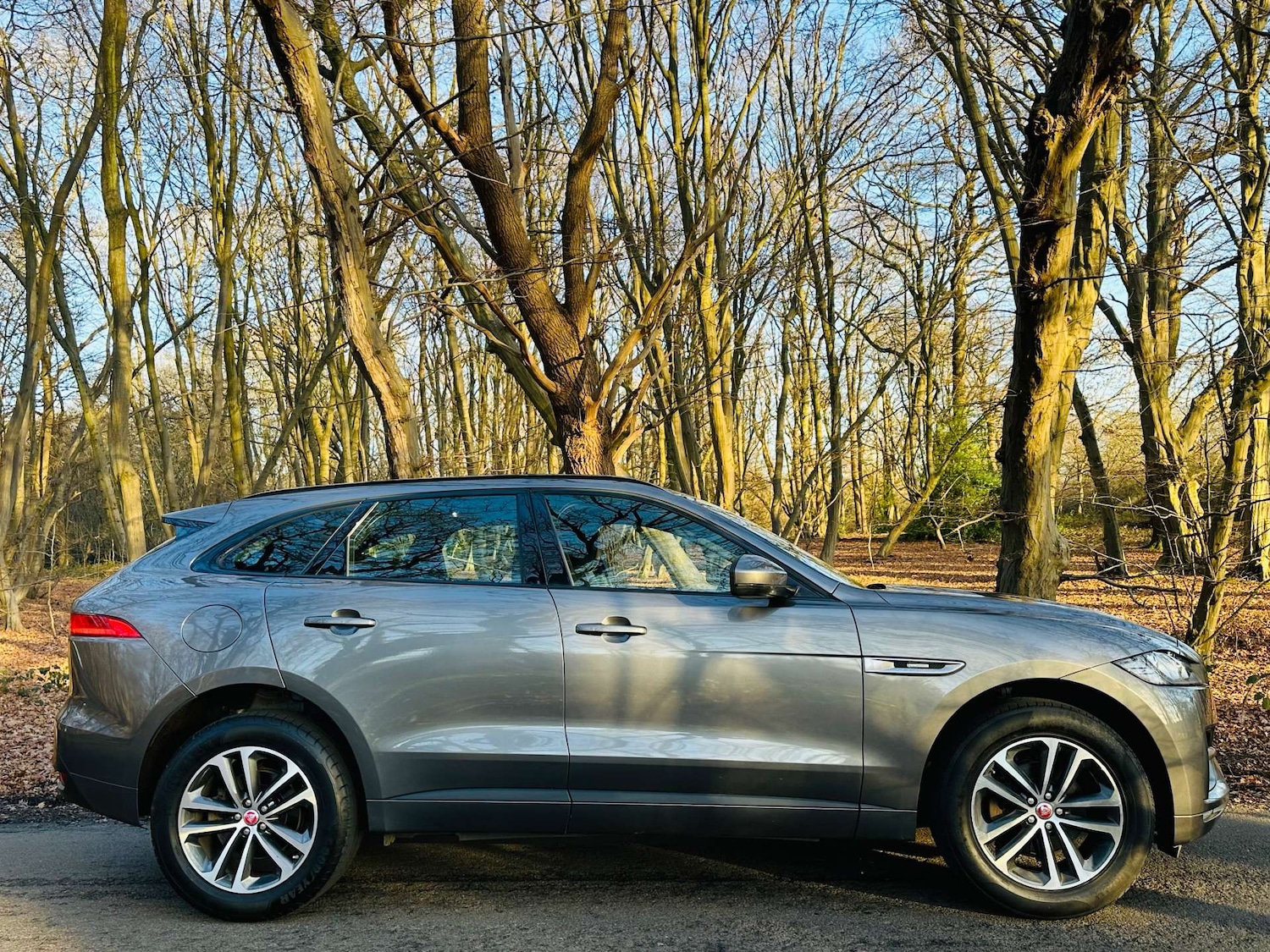 Used Jaguar F-Pace 2019 for sale - 77022647: Photo 42