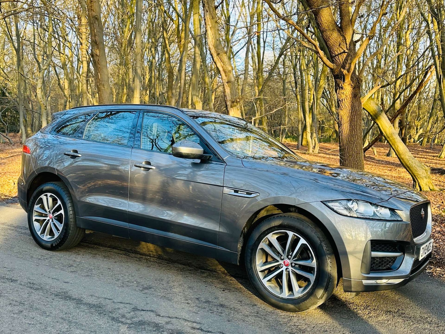 Used Jaguar F-Pace 2019 for sale - 77022647: Photo 44