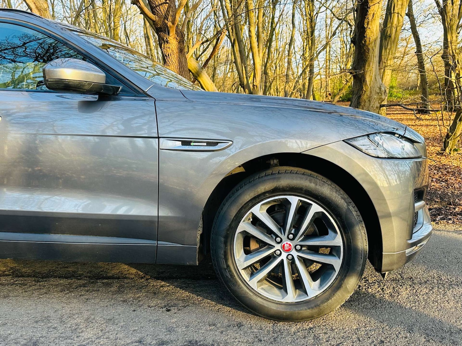 Used Jaguar F-Pace 2019 for sale - 77022647: Photo 45