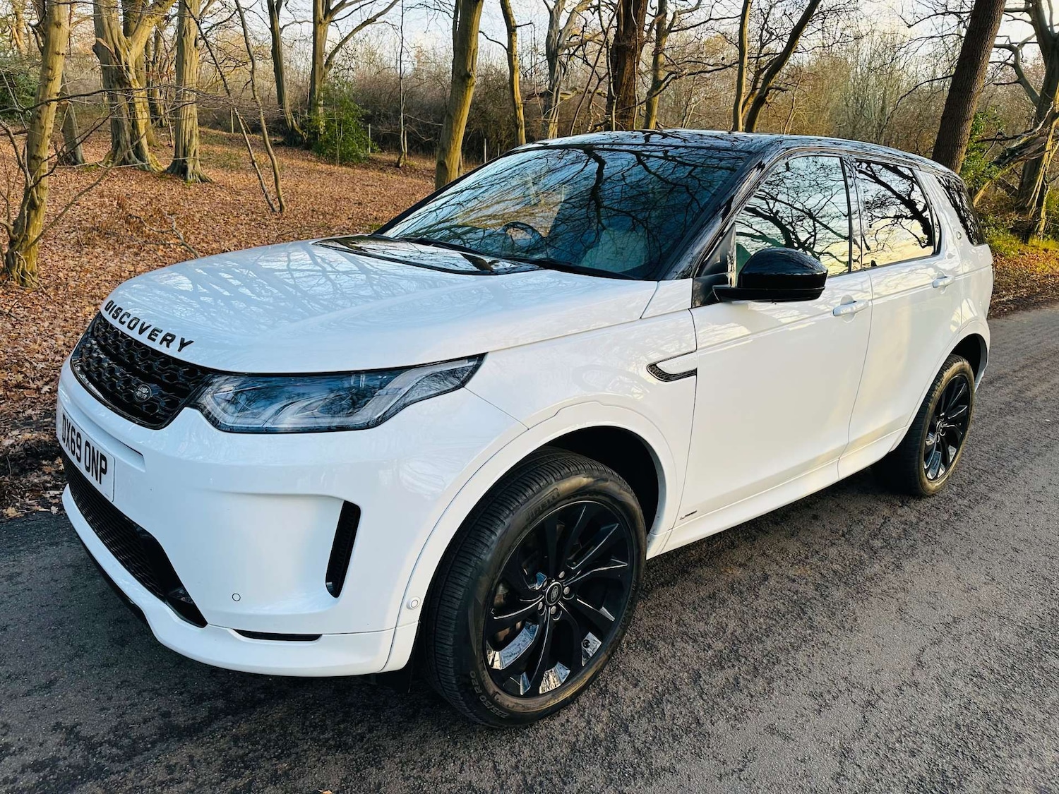 Used Land Rover Discovery Sport 2019 for sale - 76896312: Photo 32