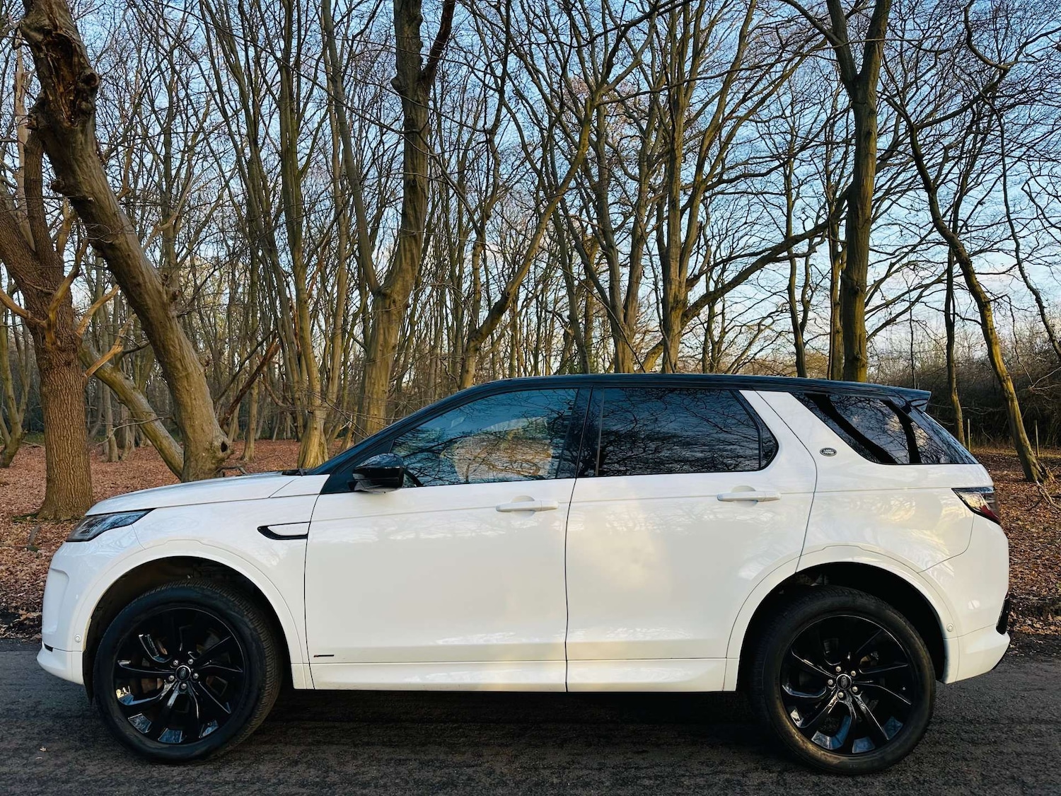 Used Land Rover Discovery Sport 2019 for sale - 76896312: Photo 35