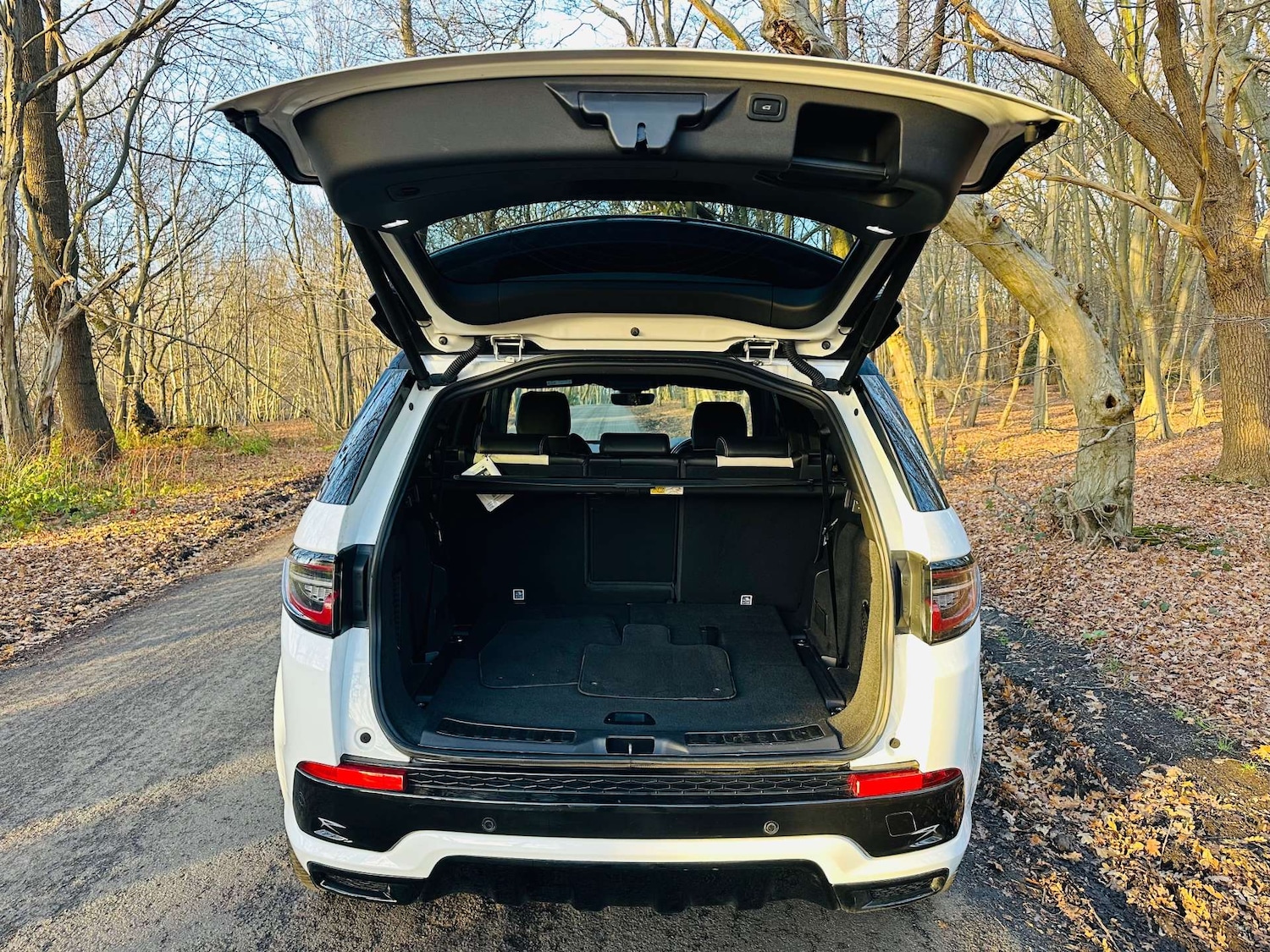 Used Land Rover Discovery Sport 2019 for sale - 76896312: Photo 44