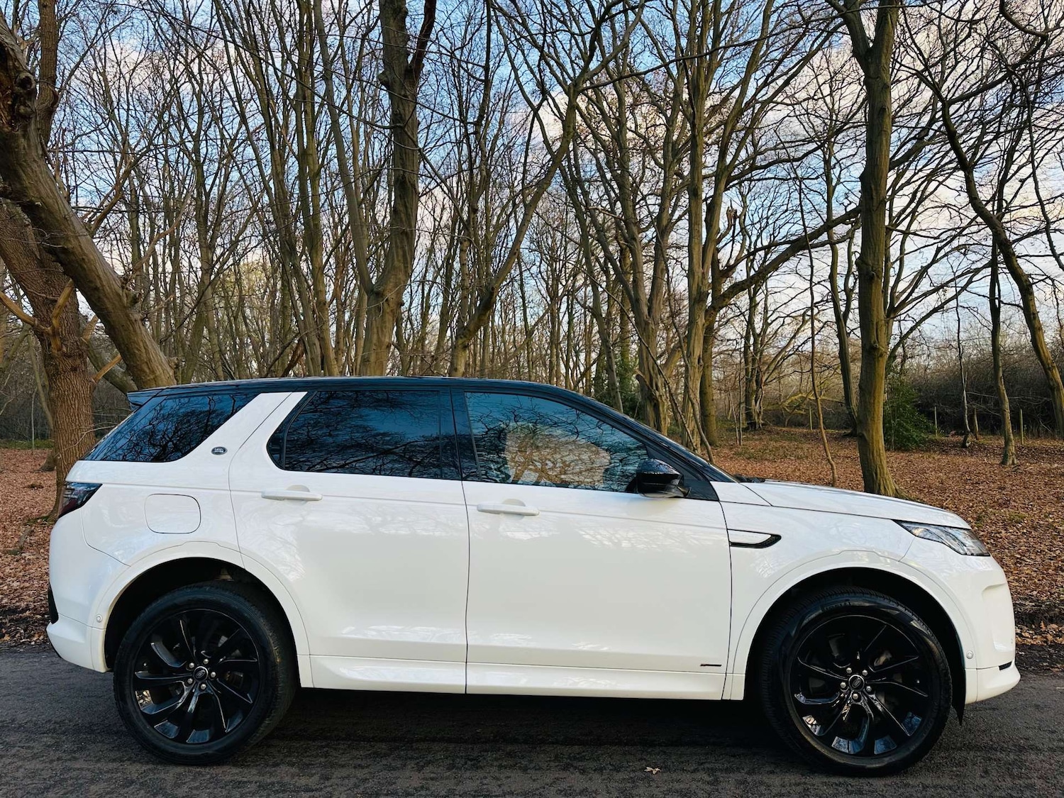 Used Land Rover Discovery Sport 2019 for sale - 76896312: Photo 50