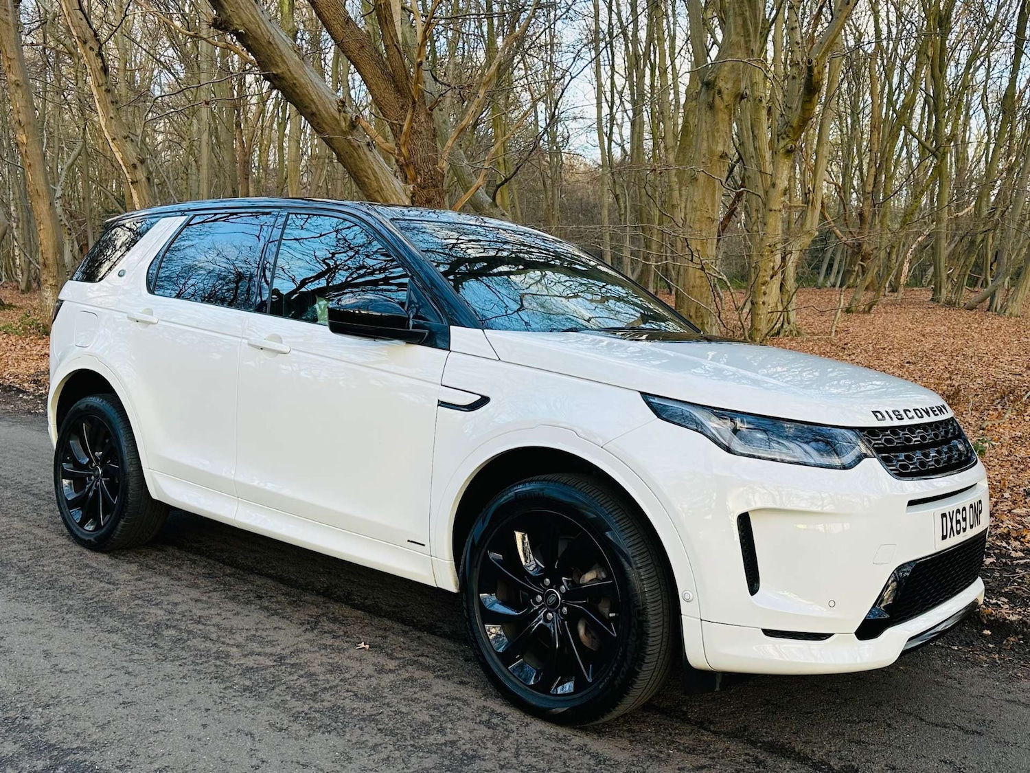 Used Land Rover Discovery Sport 2019 for sale - 76896312: Photo 54