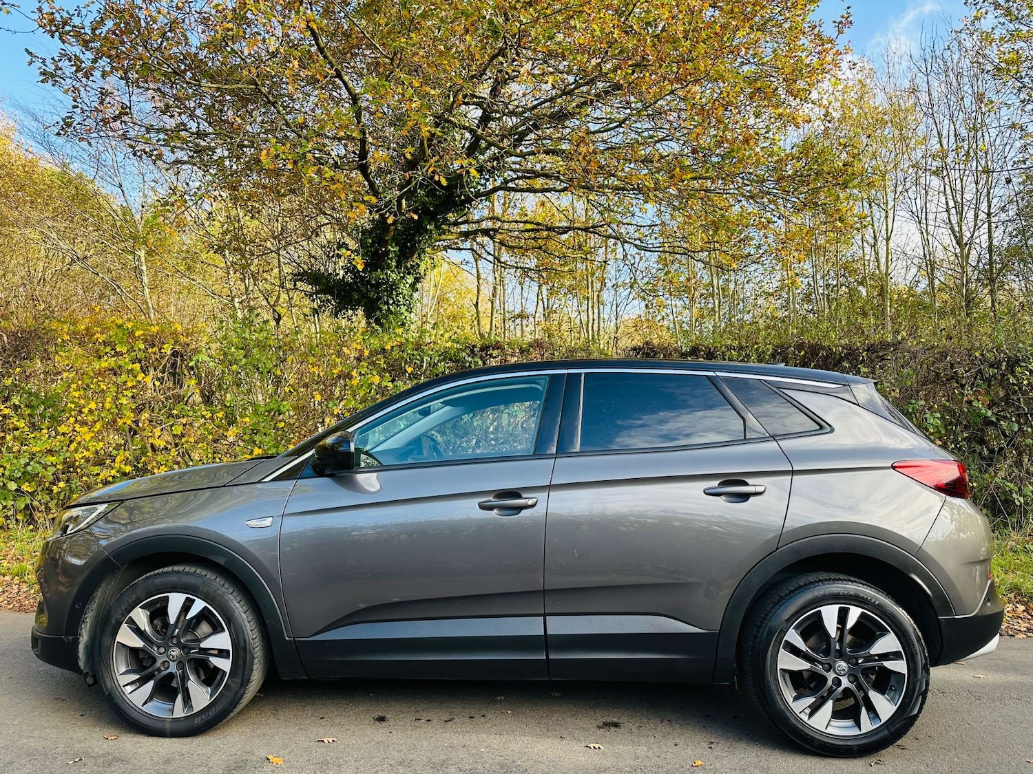 Used Vauxhall Grandland X 2020 for sale - 76601814: Photo 11
