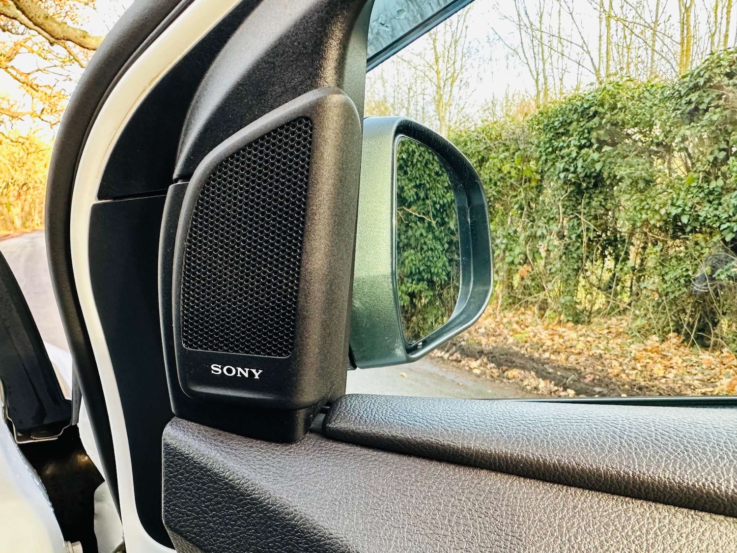 Used Ford Focus 2017 for sale - 76892314: Photo 22