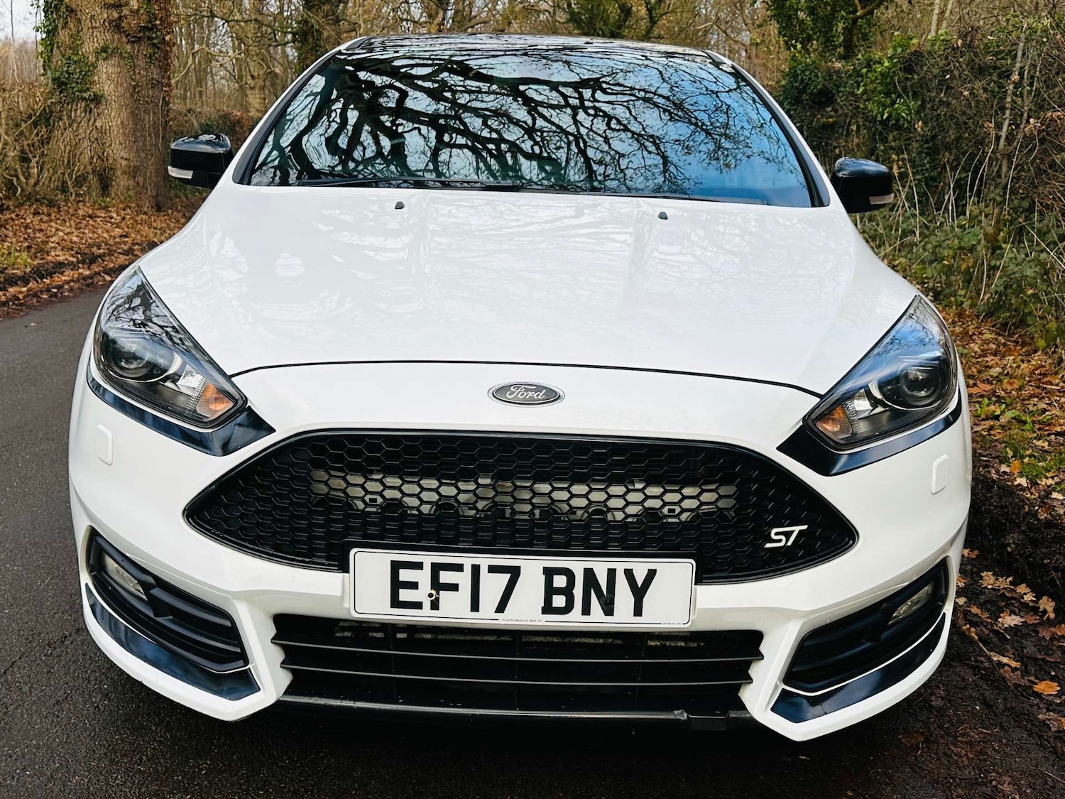Used Ford Focus 2017 for sale - 76892314: Photo 3