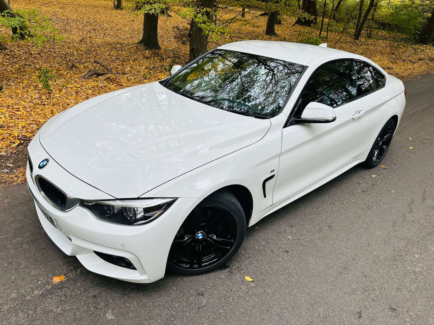 Used BMW 4 Series 2018 for sale - 76274198: Photo 28