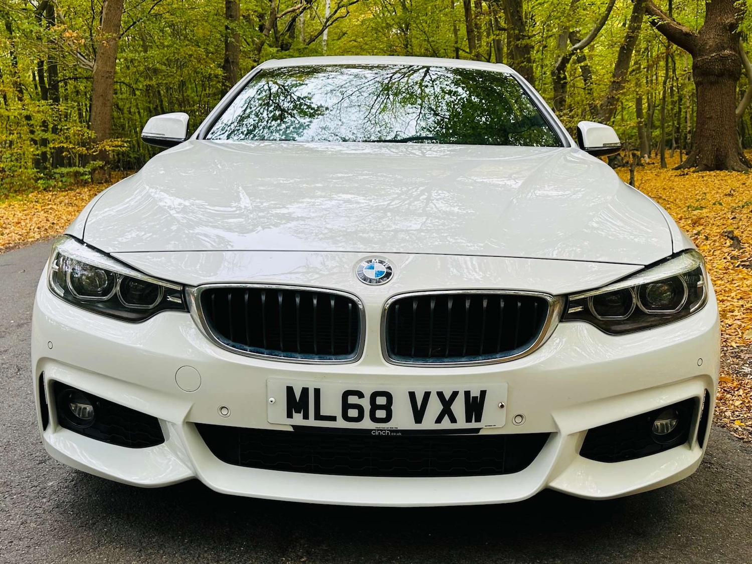 Used BMW 4 Series 2018 for sale - 76274198: Photo 3