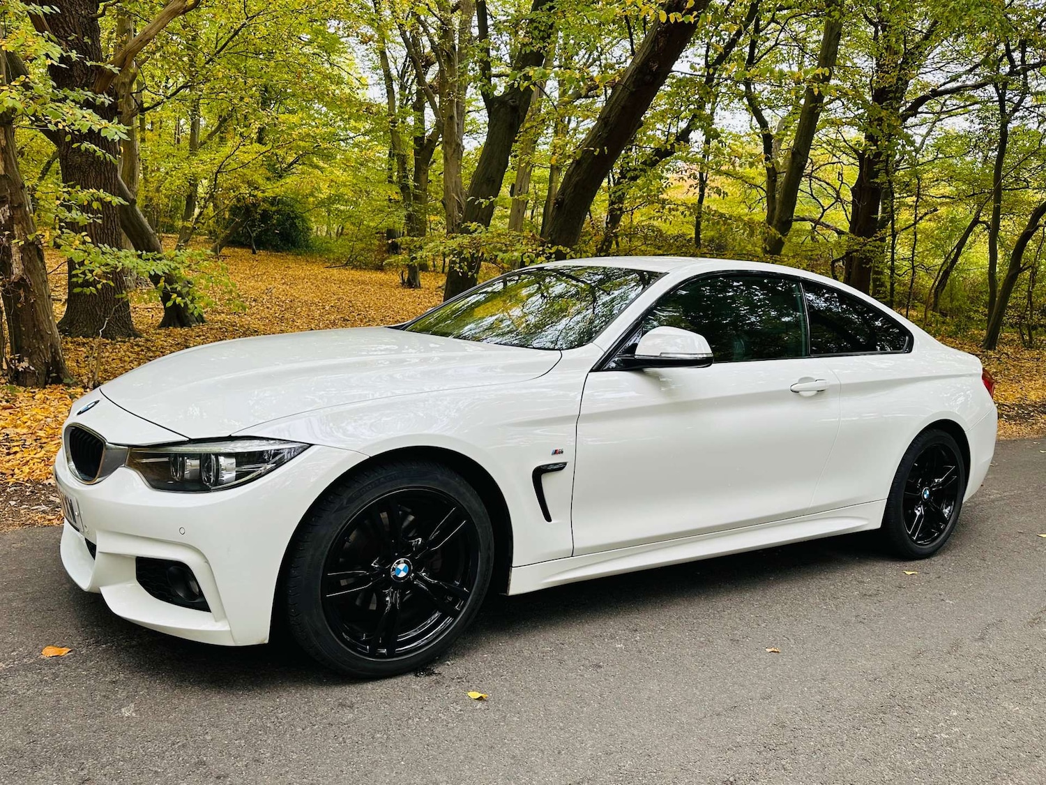 Used BMW 4 Series 2018 for sale - 76274198: Photo 31