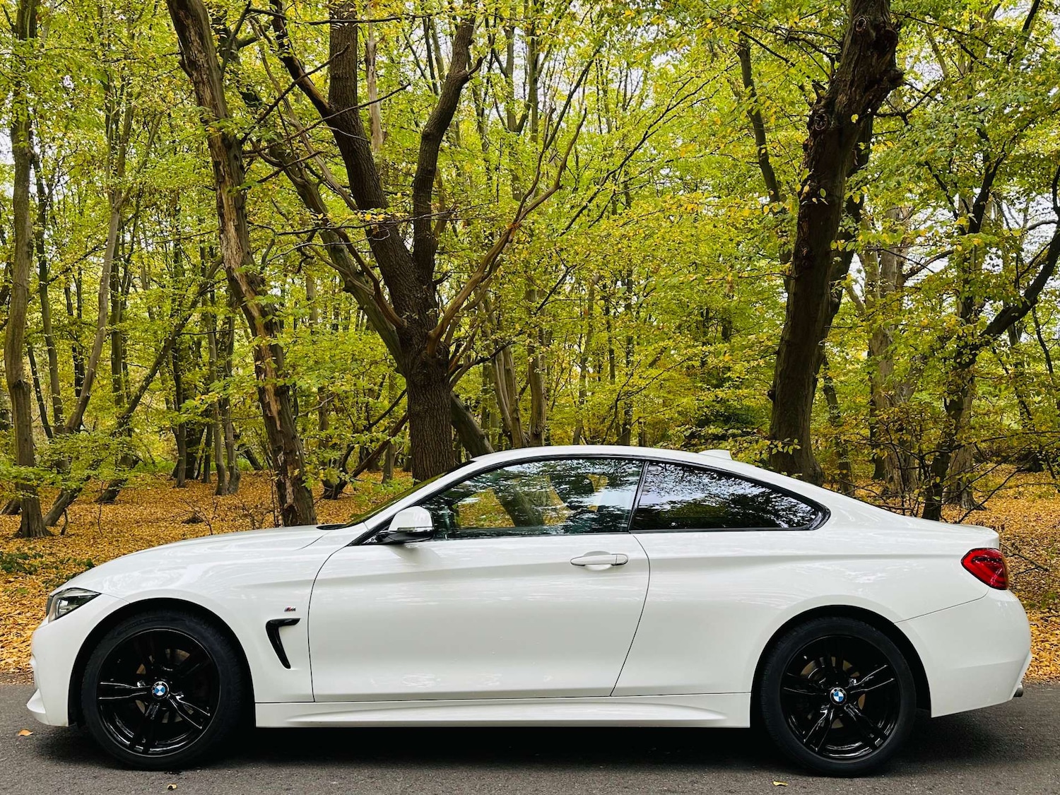 Used BMW 4 Series 2018 for sale - 76274198: Photo 33