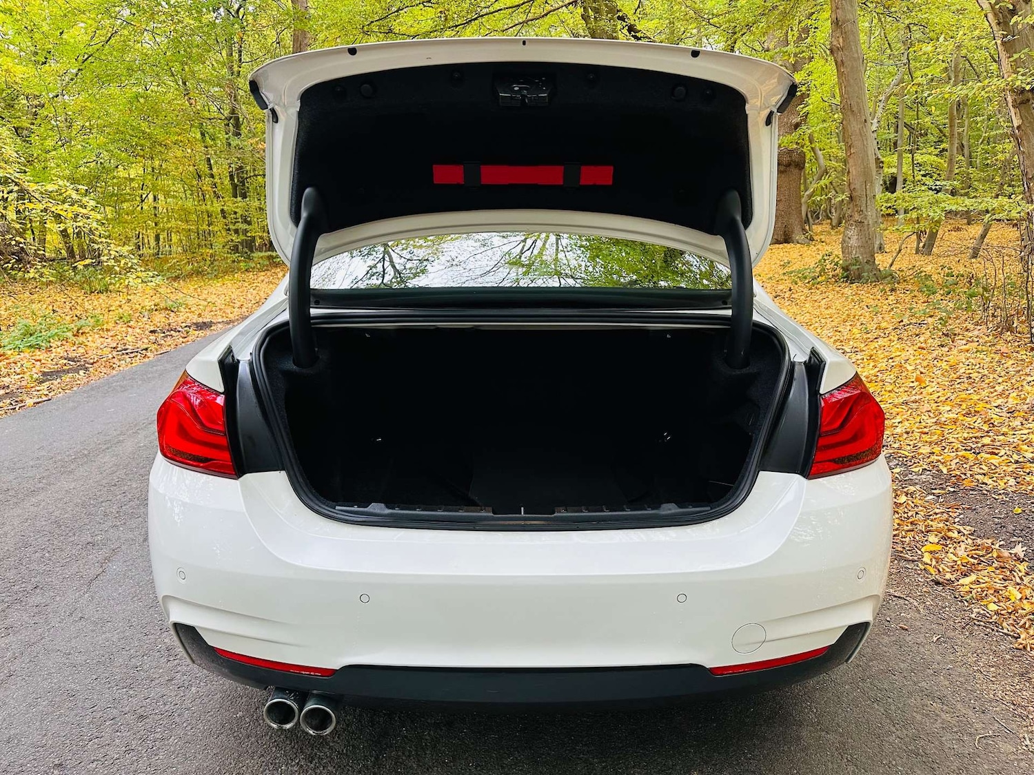 Used BMW 4 Series 2018 for sale - 76274198: Photo 37