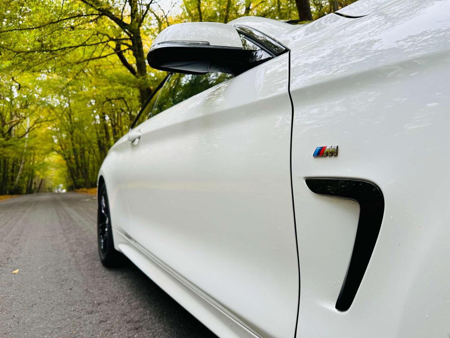 Used BMW 4 Series 2018 for sale - 76274198: Photo 44