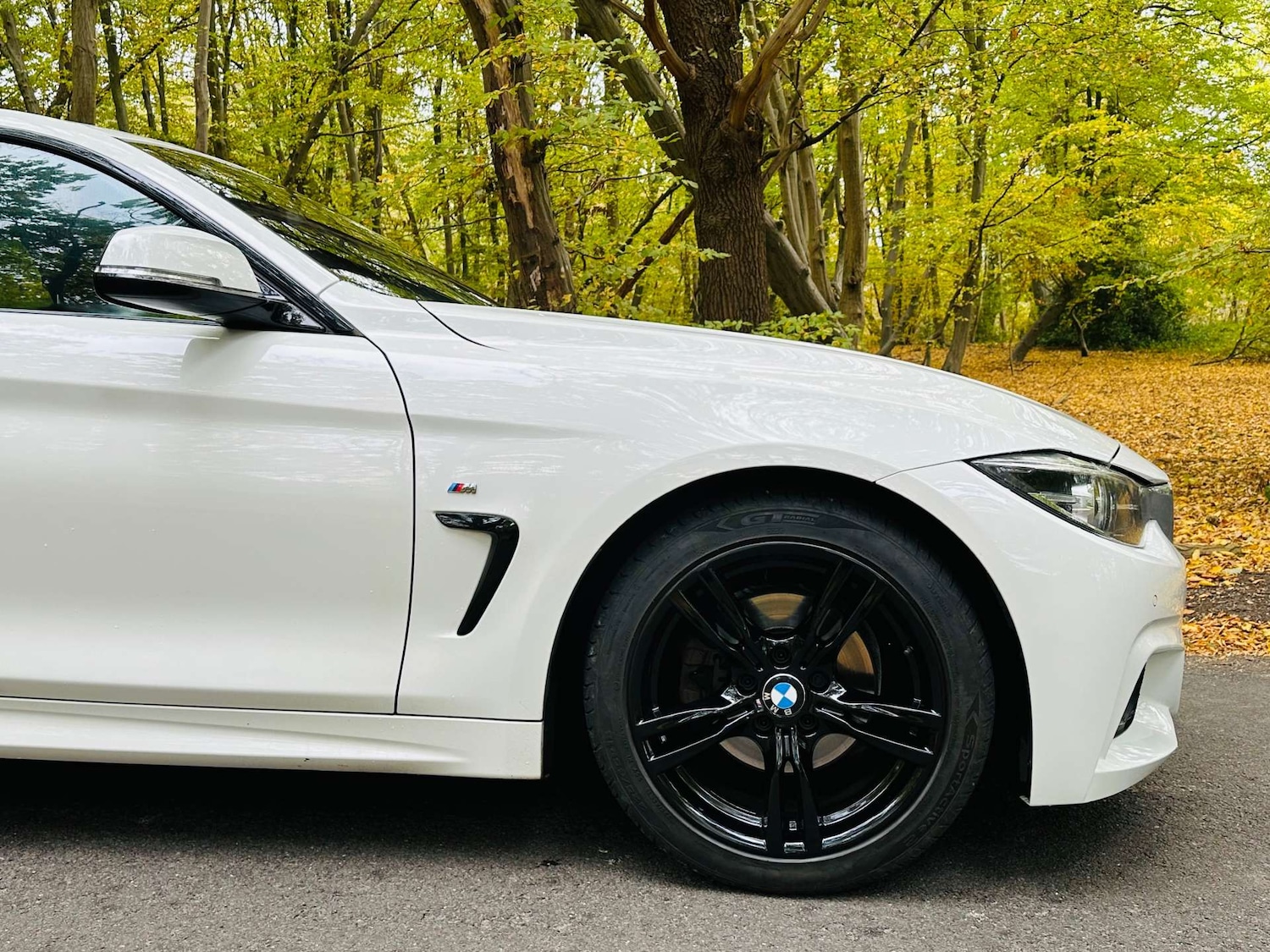 Used BMW 4 Series 2018 for sale - 76274198: Photo 45