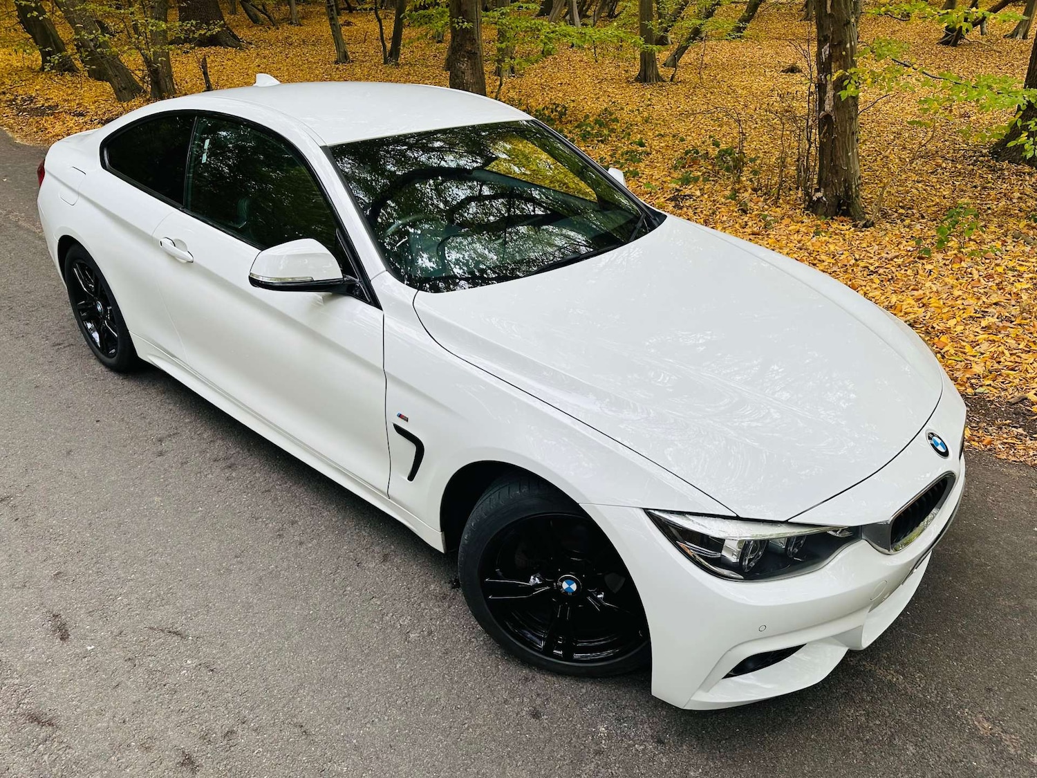 Used BMW 4 Series 2018 for sale - 76274198: Photo 47