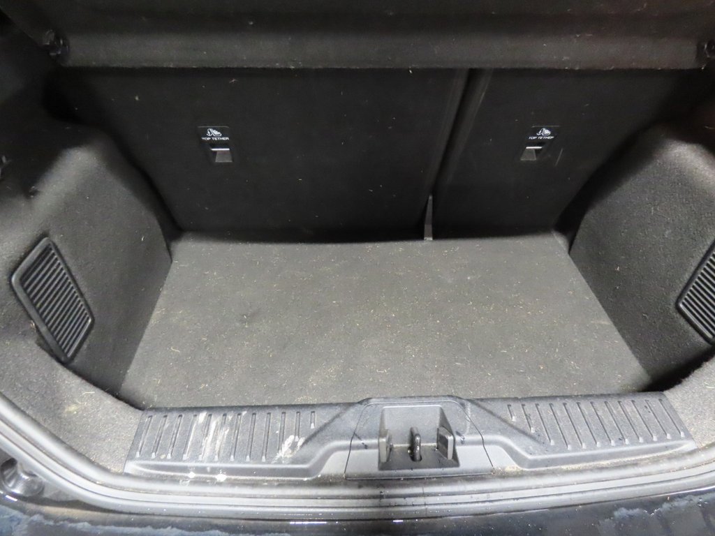 Used Ford Fiesta 2023 for sale - 77621397: Photo 11