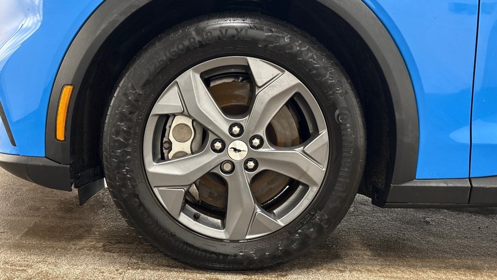 Used Ford Mustang Mach-E 2023 for sale - 77836041: Photo 4