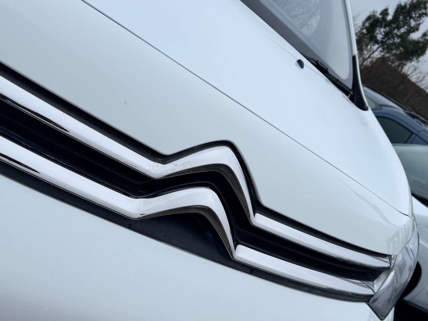 Used Citroen Dispatch 2021 for sale - 77409791: Photo 11