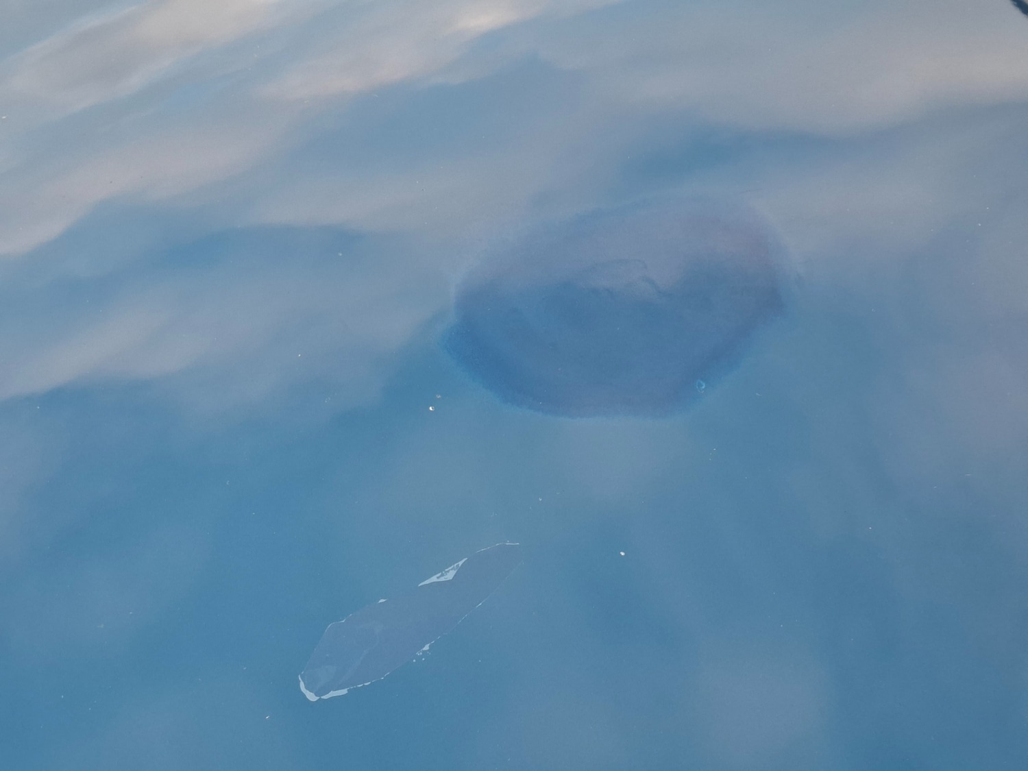 Used BMW Z3 2000 for sale - 77220608: Photo 19