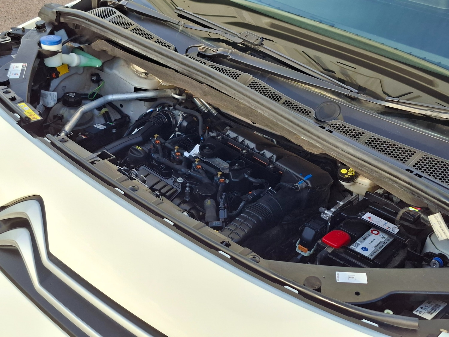 Used Citroen Berlingo 2020 for sale - 76613577: Photo 28