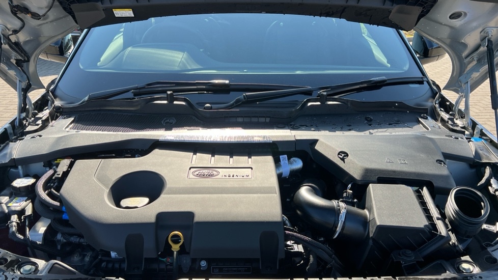 Used Land Rover Range Rover Evoque 2025 for sale - 75534046: Photo 16