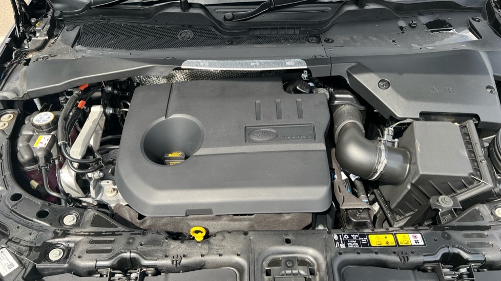 Used Land Rover Range Rover Evoque 2025 for sale - 76881946: Photo 30