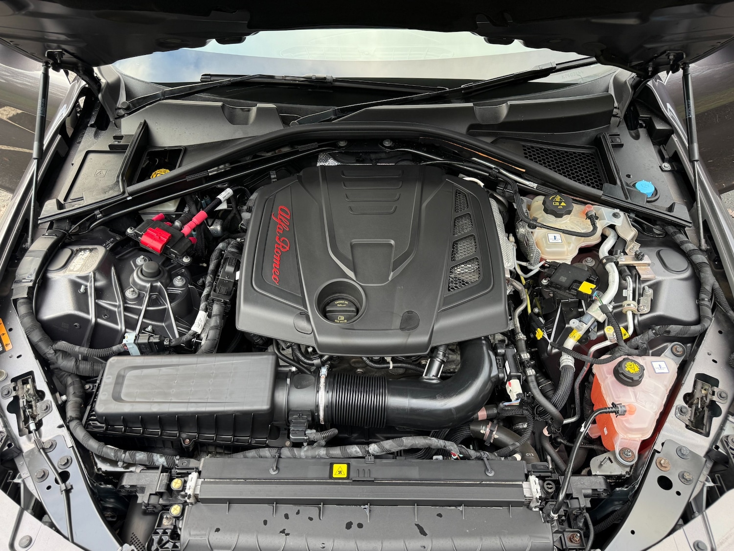 Used Alfa Romeo Giulia 2019 for sale - 76908281: Photo 43