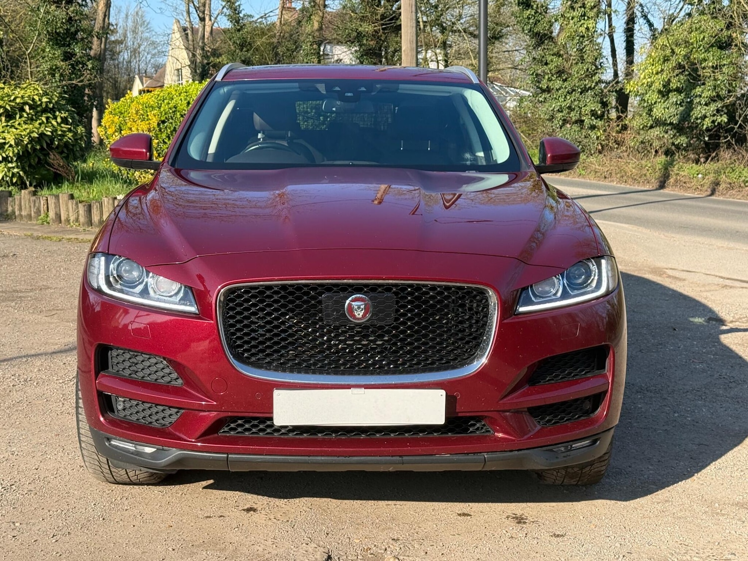 Used Jaguar F-Pace 2016 for sale - 78043791: Photo 18