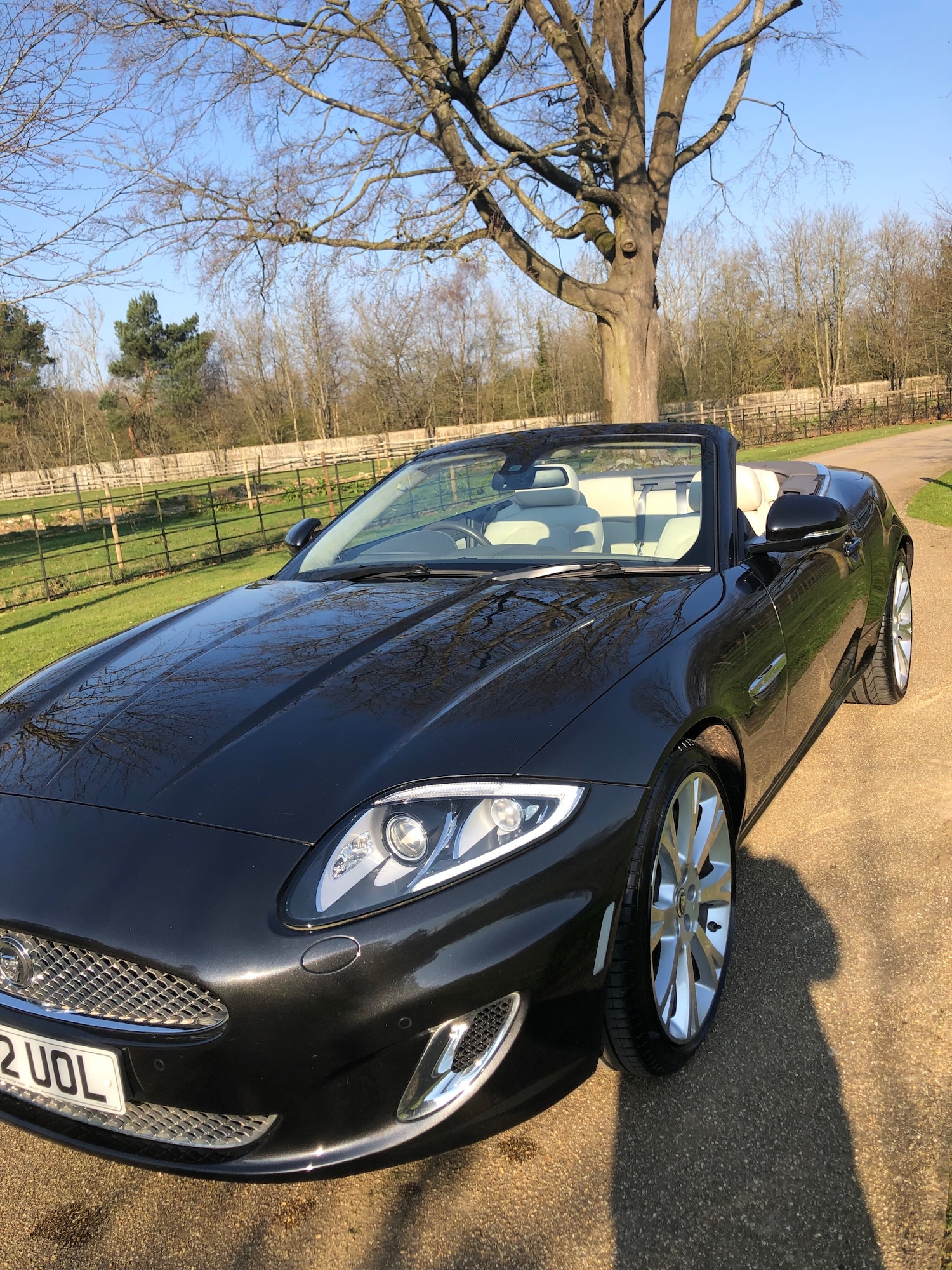Used Jaguar XK 2012 for sale - 77952070: Photo 3