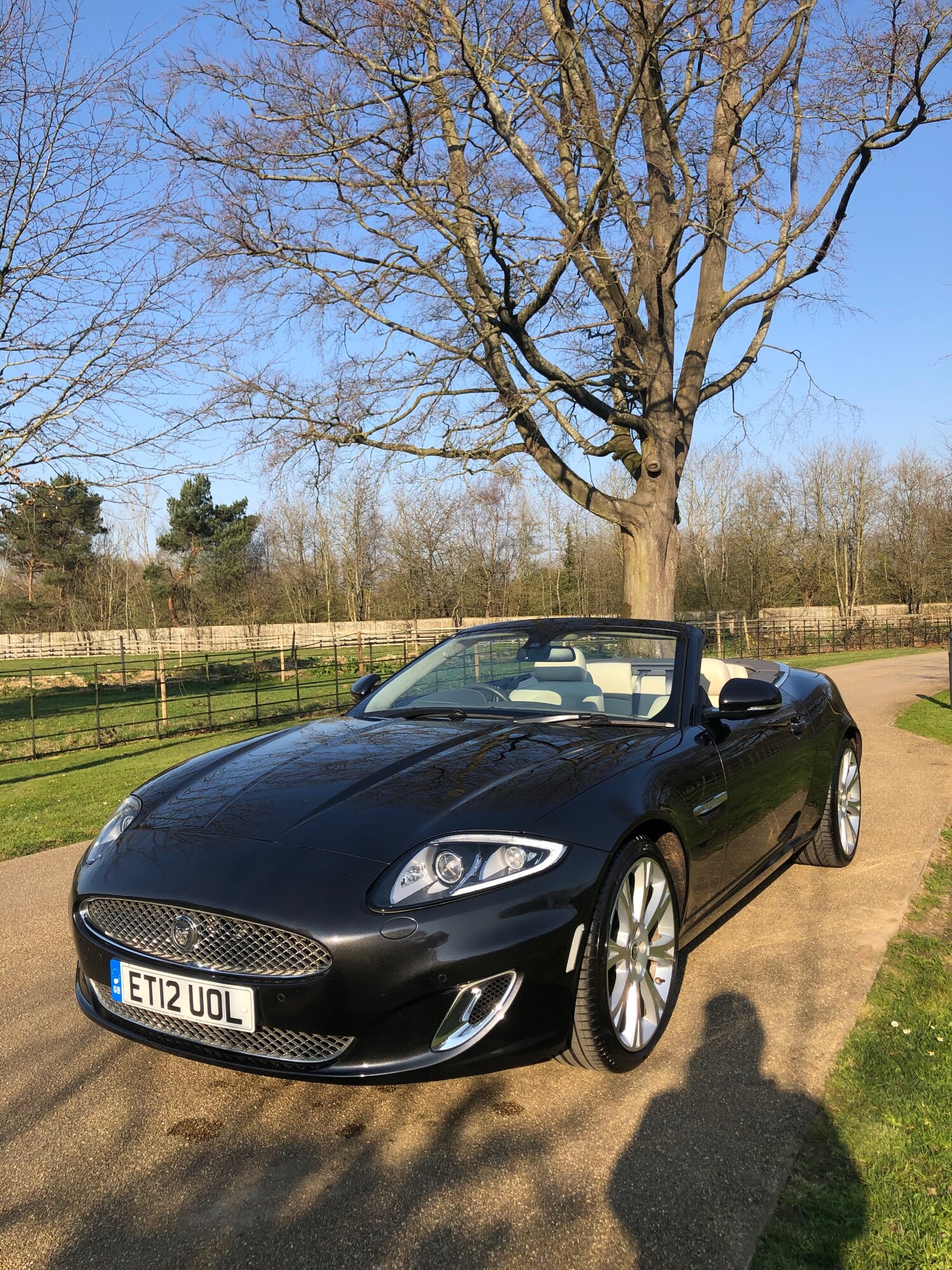 Used Jaguar XK 2012 for sale - 77952070: Photo 4