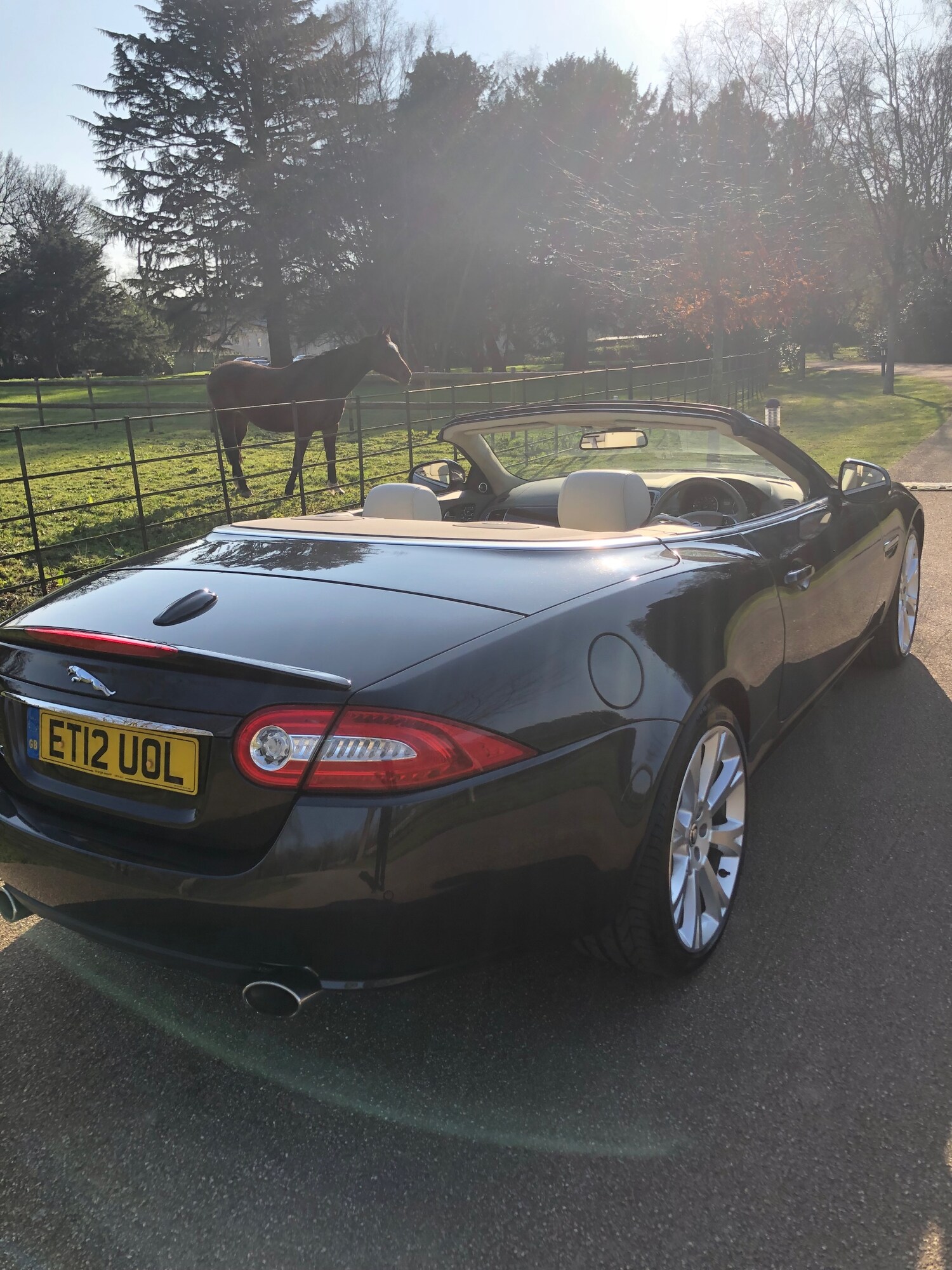 Used Jaguar XK 2012 for sale - 77952070: Photo 5