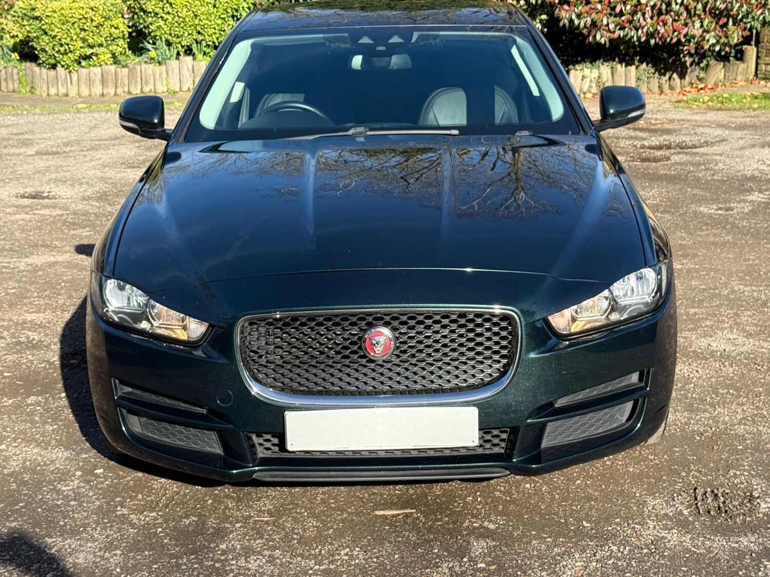 Used Jaguar XE 2015 for sale - 78043786: Photo 17