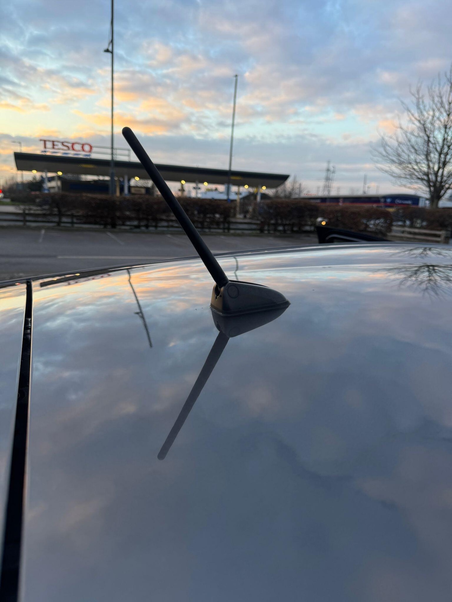 Used Toyota Aqua for sale - 77440013: Photo 45