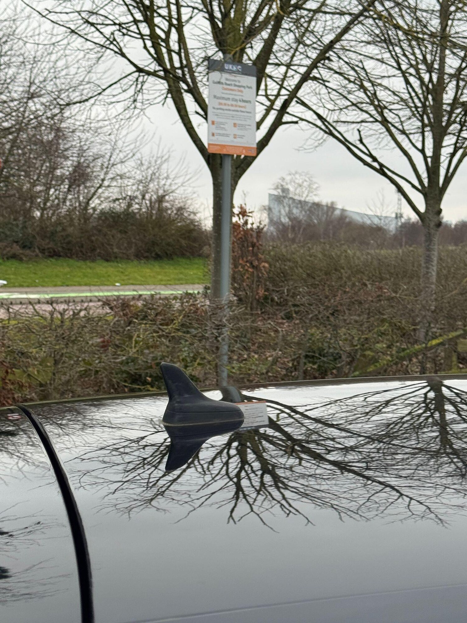 Used Audi A3 for sale - 77496310: Photo 43