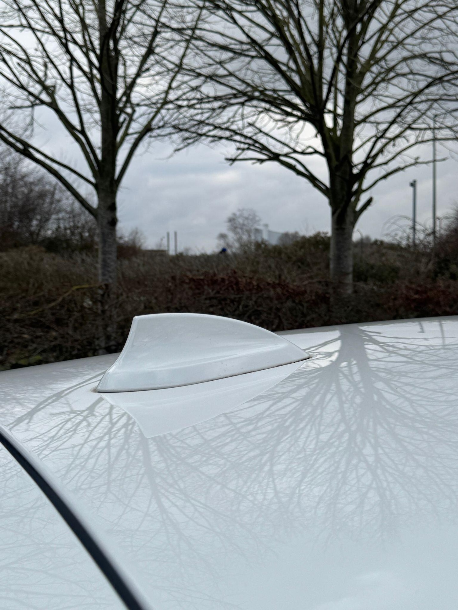 Used BMW 1 Series 2013 for sale - 77387129: Photo 47