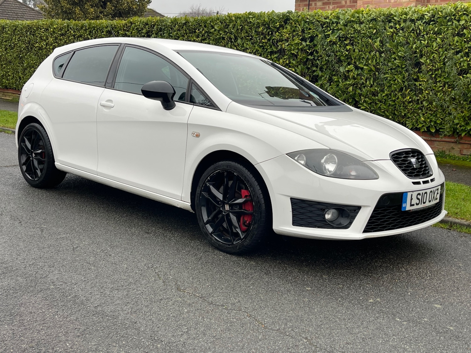 Used SEAT Leon 2010 for sale - 77282774: Photo 1