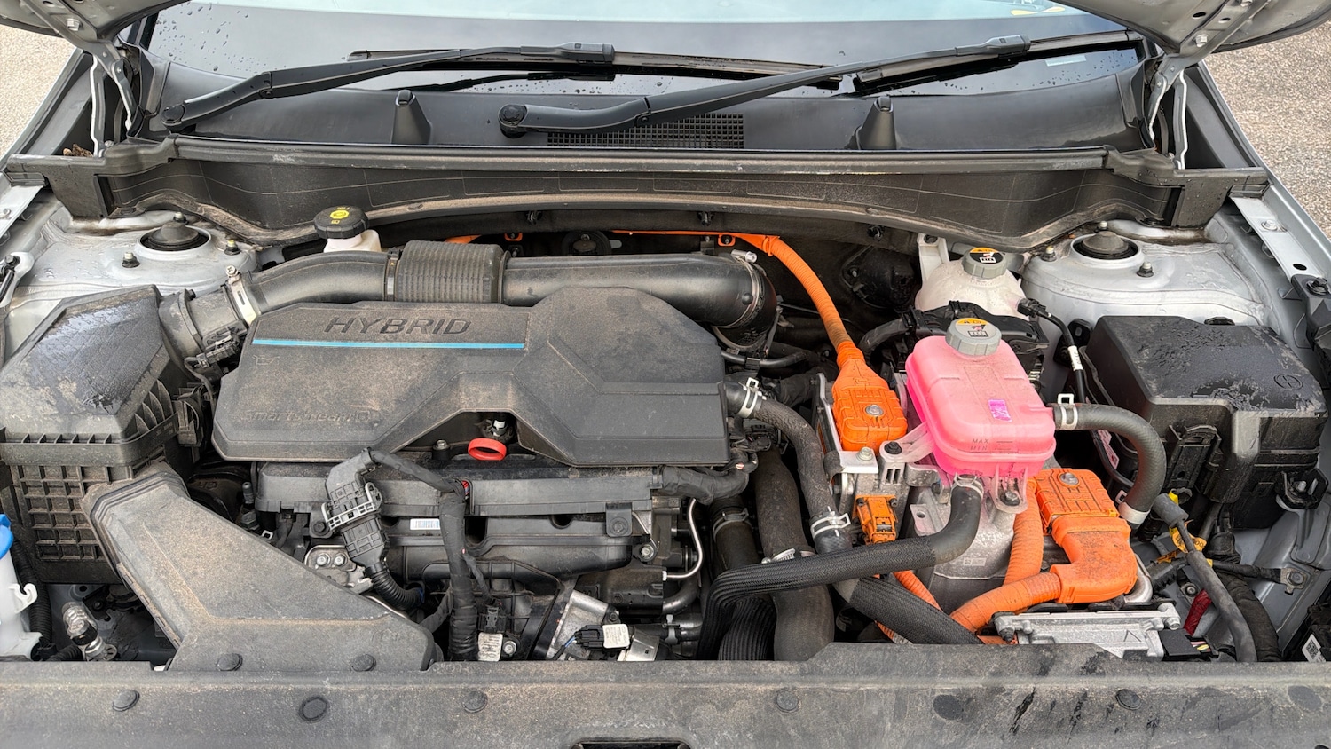 Used Kia Sportage 2022 for sale - 77264332: Photo 16