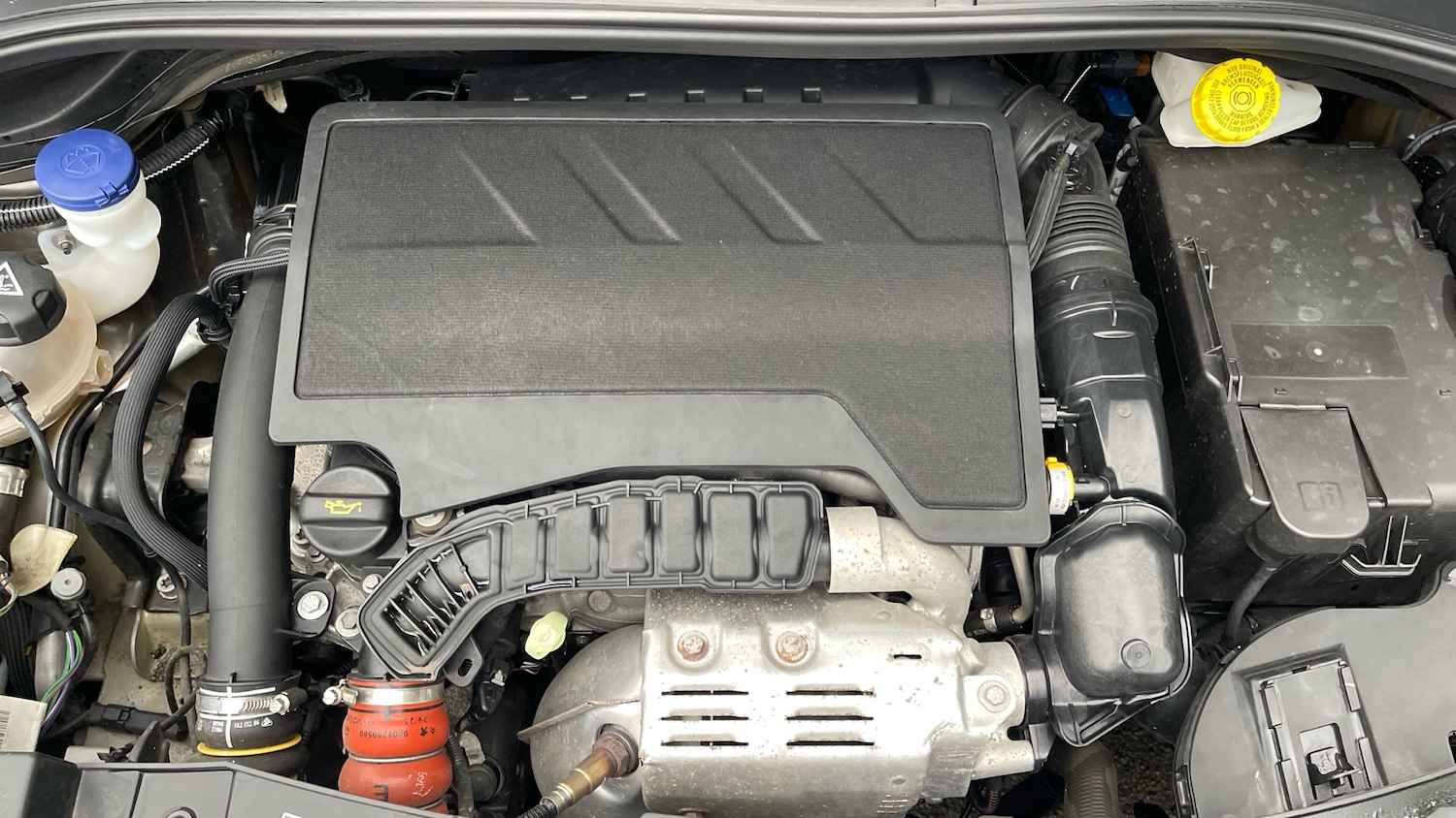 Used Citroen C3 2023 for sale - 76821547: Photo 16