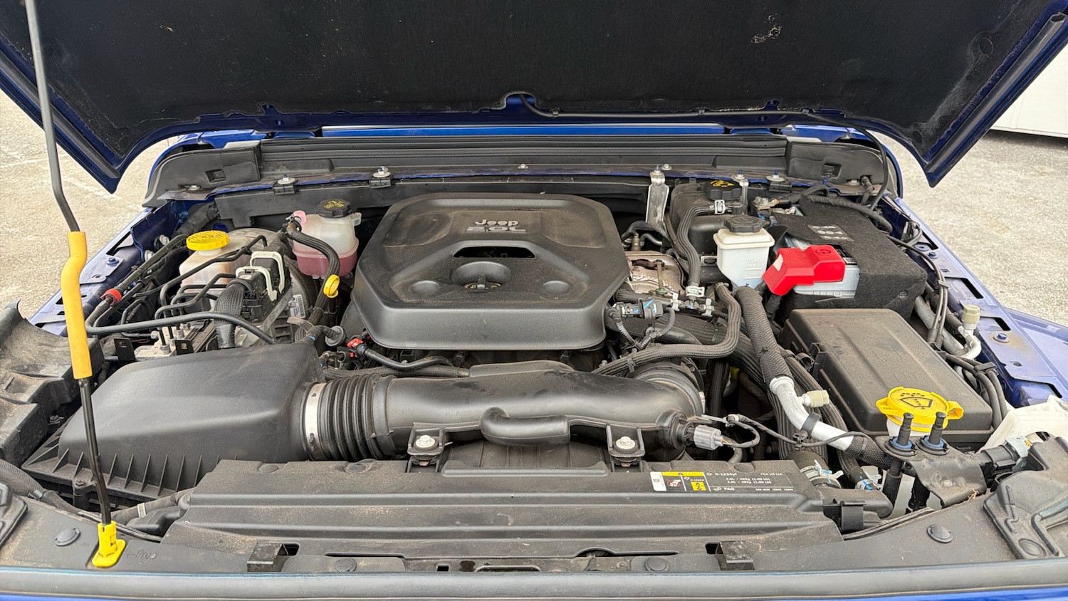 Used Jeep Wrangler 2019 for sale - 77028206: Photo 16