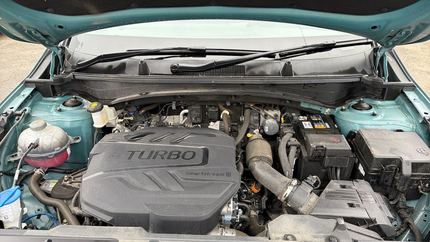 Used Kia Sportage 2022 for sale - 76974208: Photo 16